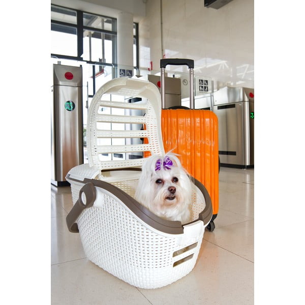 Biely prepravný box pre zvieratá Curver Vintage-image-1