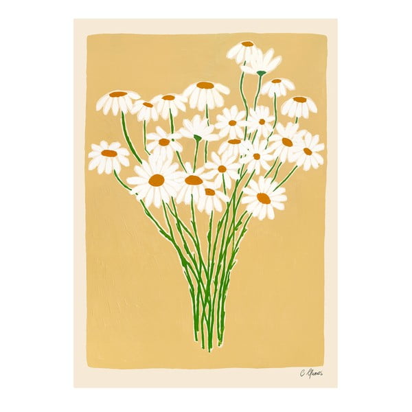 Plagát 30x40 cm Daisies – Carla Llanos – The Poster Club