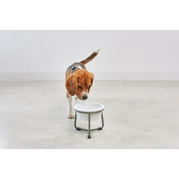 Porcelánová miska s podstavcom pre psa ø 20 cm Pranzo Grolive M – MiaCara-image-2