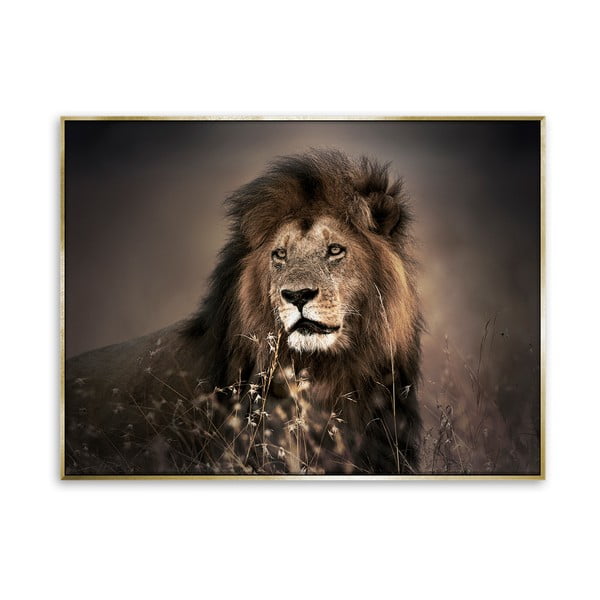 Obraz lva na plátne Styler Golden Lion, 62 x 82 cm