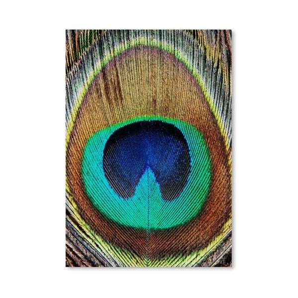 Plagát Peacock Feather