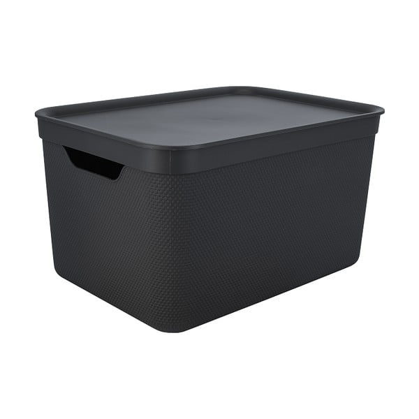 Plastový úložný box s vekom Deco - Rotho