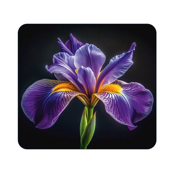Kryt na stenu pri sporáku z tvrdeného skla 50x56 cm Abdeckplatte  – Wenko