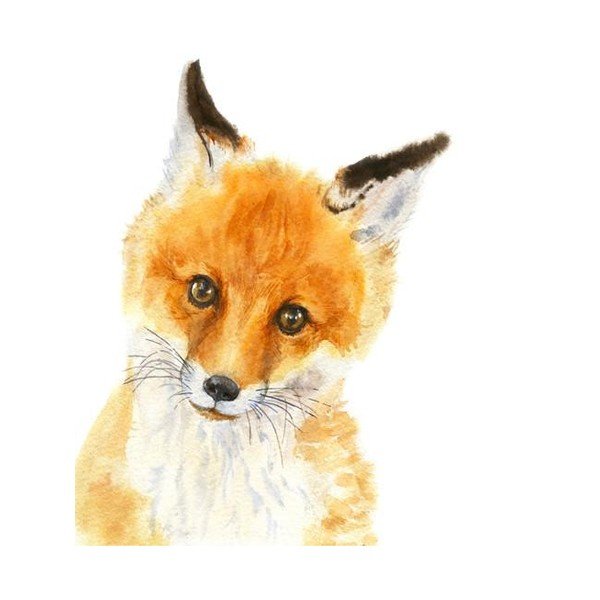 Plagát Chocovenyl Wee Fox, A4-image-2