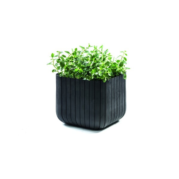 Plastový kvetináč Cube – Keter-image-2