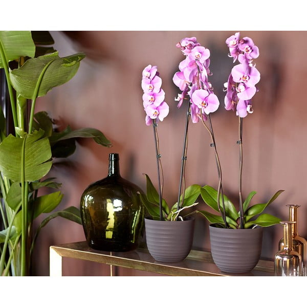 Kvetináč z recyklovaného plastu ø 20 cm Havana – Artevasi-image-2