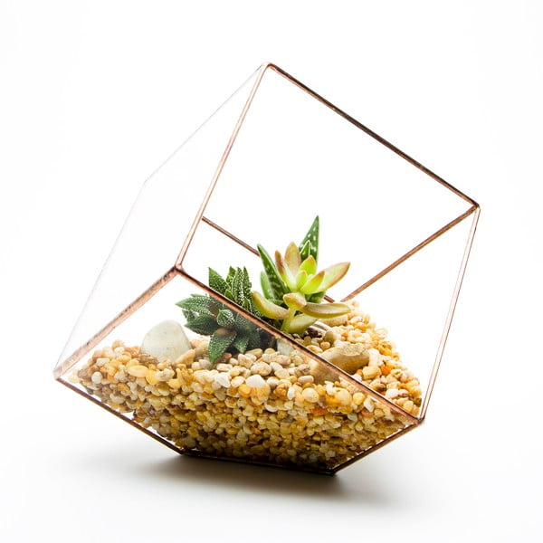 Terárium s rastlinami Cube Terrarium, svetlý rám