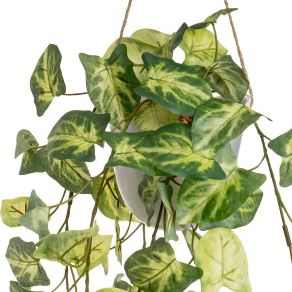 Umelé rastliny v súprave 2 ks (výška 55 cm) – Casa Selección-image-3