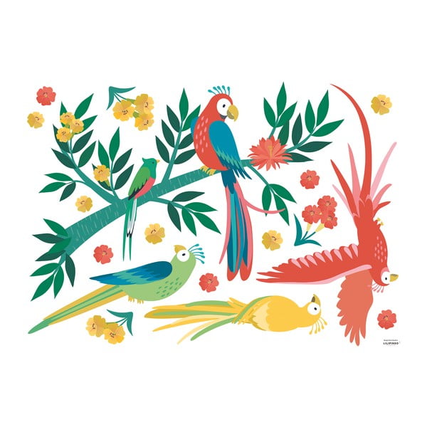 Hárok samolepiek 90x64 cm Parrots – Lilipinso