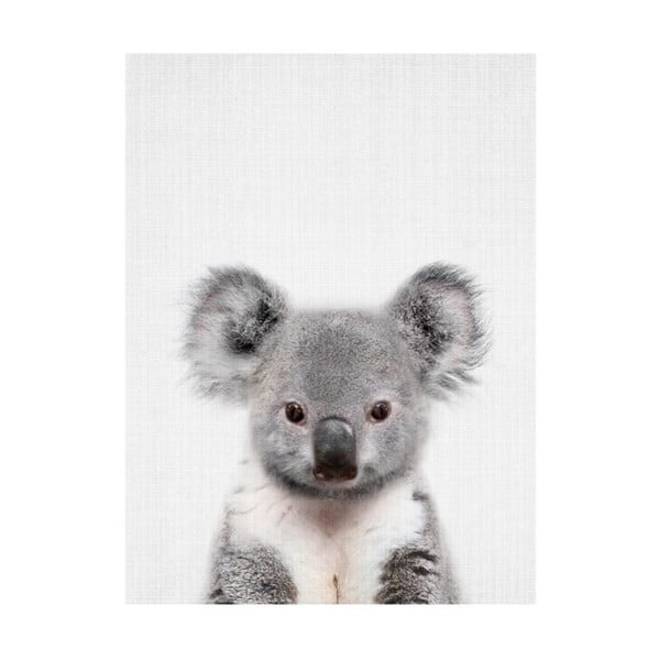 Plagát Blue-Shaker Baby Animals Koala, 30 x 40 cm