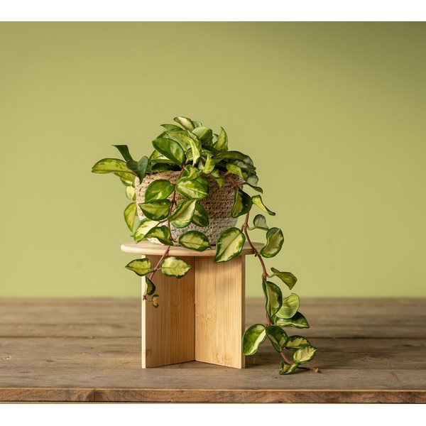 Bambusový stojan na kvety ø 25 cm (výška  19,5 cm) – Esschert Design-image-1