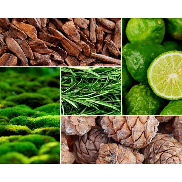 Vonná  sójová sviečka doba horenia 60 h Tobacco&Leather/Oud&Bergamote – Privé Home-image-1