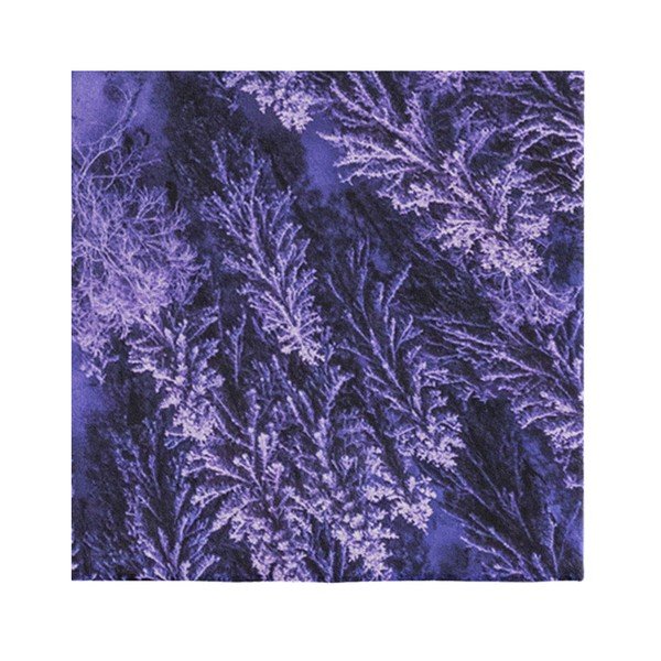 Fialový koberec Oyo home Suzzy Flower, 140 x 220 cm-image-3