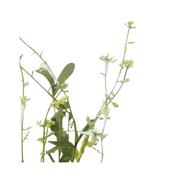 Umelá rastlina Côté Table Cynosurus-image-1