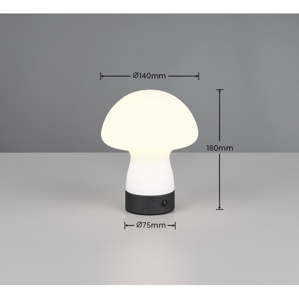 Matne biela LED stolová lampa so skleneným tienidlom (výška  18 cm) Dooley – Reality-image-4