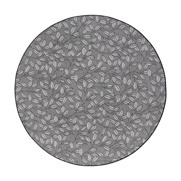 Sivý okrúhly koberec ø 120 cm Twig Nature – Hanse Home