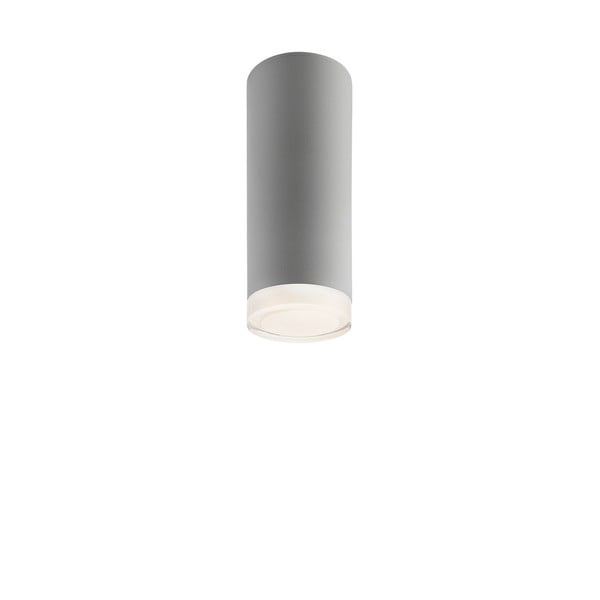 Sivé stropné svietidlo so skleneným tienidlom - LAMKUR