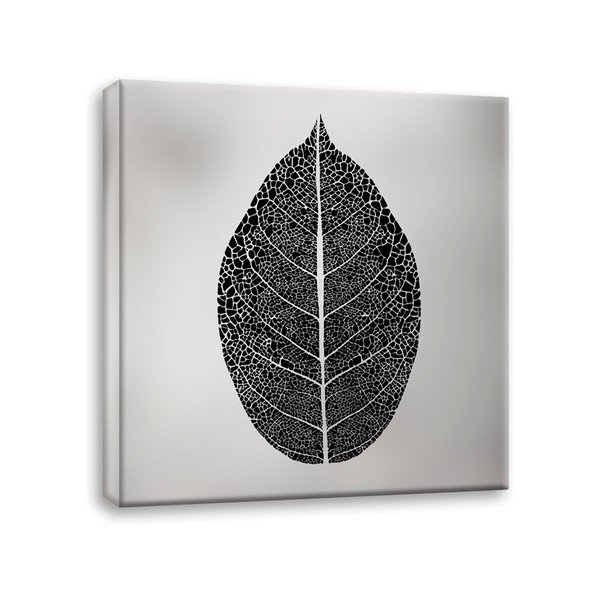 Obraz na plátne Styler Silver Leaf, 60 x 60 cm-image-2