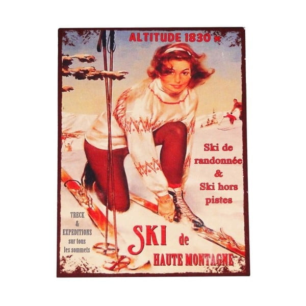 Kovová ceduľa 25x33 cm Ski – Antic Line