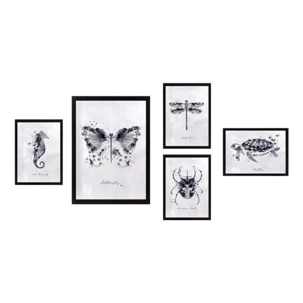 Obrazy v súprave 5 ks Butterfly – Wallity
