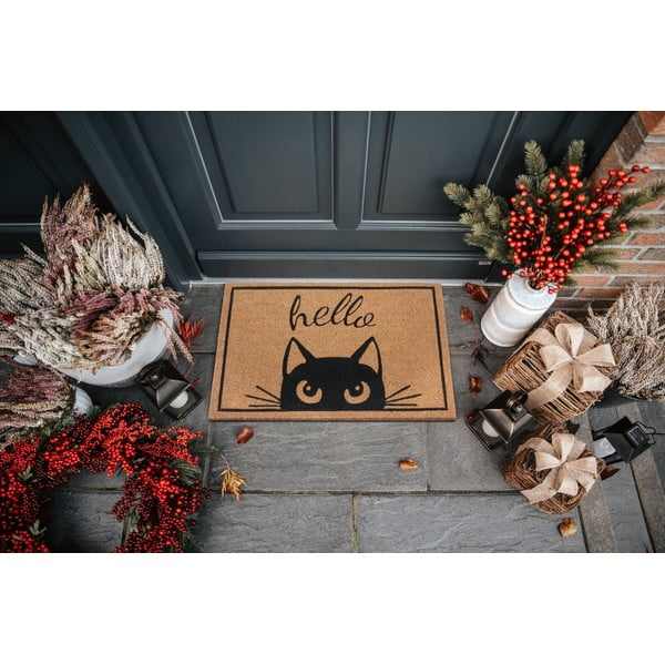 Rohožka 70x45 cm Mix Mats - Hanse Home-image-1