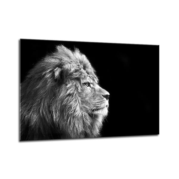 Obraz Styler Glasspik Canvas Animals Lion, 70 × 100 cm