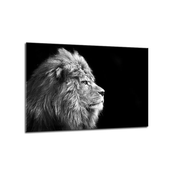 Obraz Styler Glasspik Canvas Animals Lion, 70 × 100 cm