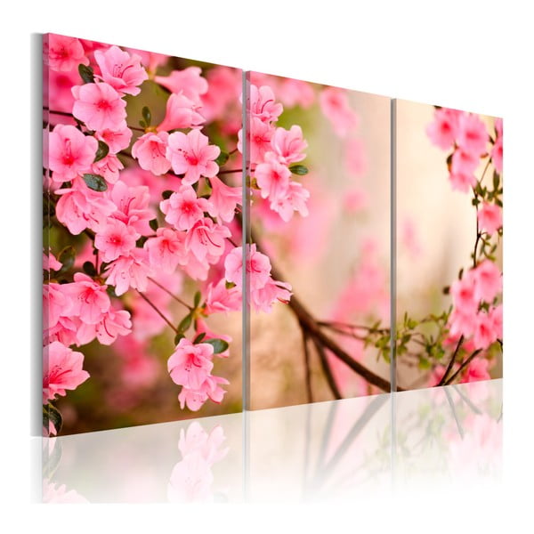 Obraz na plátne Bimago Cherry Flower, 120 x 80 cm