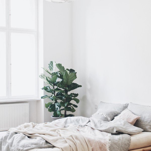 Dvojlôžková posteľ z borovicového dreva s matracom Karup Design Senza Comfort Mat Natural Clear/Black, 140 x 200 cm-image-1