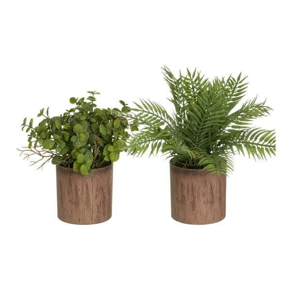 Umelé rastliny v súprave 2 ks (výška 22 cm) – Casa Selección