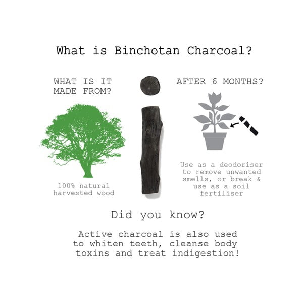 Binchotanová tyčinka Black + Blum Eau Good, 1 ks-image-1
