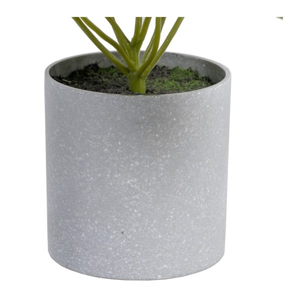 Umelá rastlina (výška 21 cm) Syngonium – Ixia-image-1