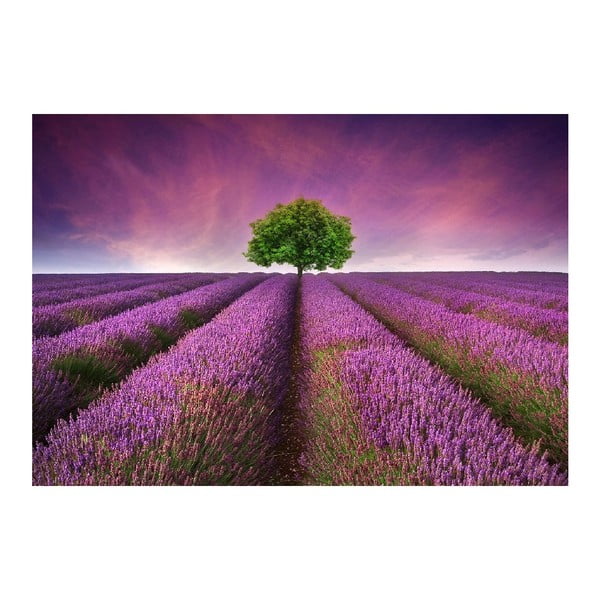 Vinylová predložka Lavender Field, 52 × 75 cm