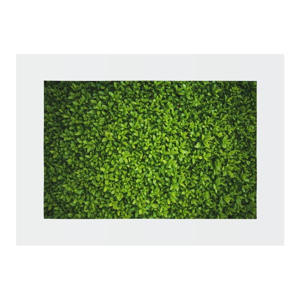 Zelený koberec Oyo home Suzzy Grass, 140 x 220 cm-image-2