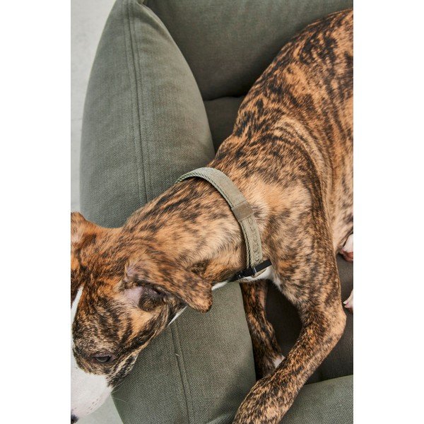 Šalviovozelený pelech pre psa 120x93 cm Comodo Sage L – MiaCara-image-4