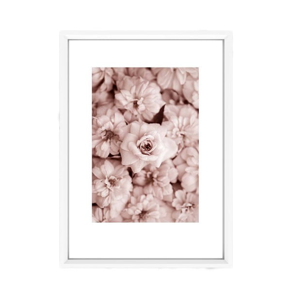 Obraz Piacenza Art Roses In Rosé, 30 × 20 cm