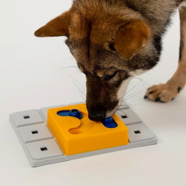 Hlavolam pre psov Kaya – Pawzler-image-2