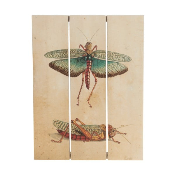 Drevený obraz Dijk Natural Collections Grasshopper, 19 x 25 cm