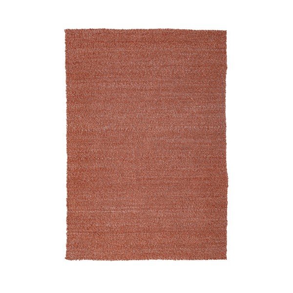 Ručne tkaný koberec v terakotovej farbe 120x170 cm Finley – Flair Rugs