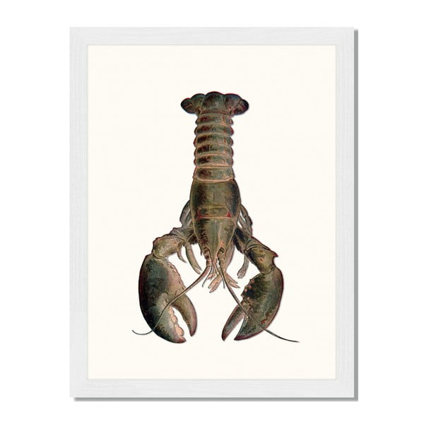 Obraz v ráme Liv Corday Asian Lobster, 30 x 40 cm