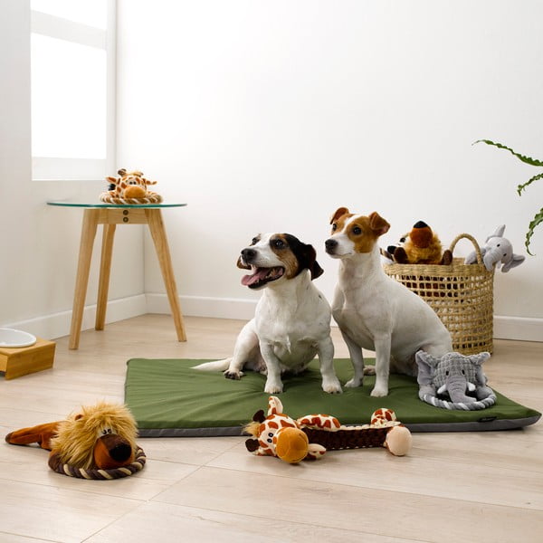 Hračka pre psa – Love Story-image-1