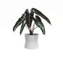 Keramický kvetináč ø 14 cm Diana – Artevasi