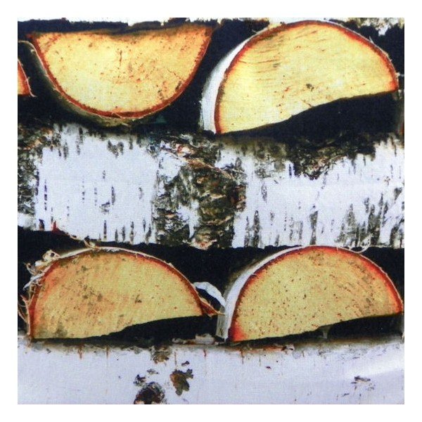 Vankúš Birch 50x50 cm-image-1