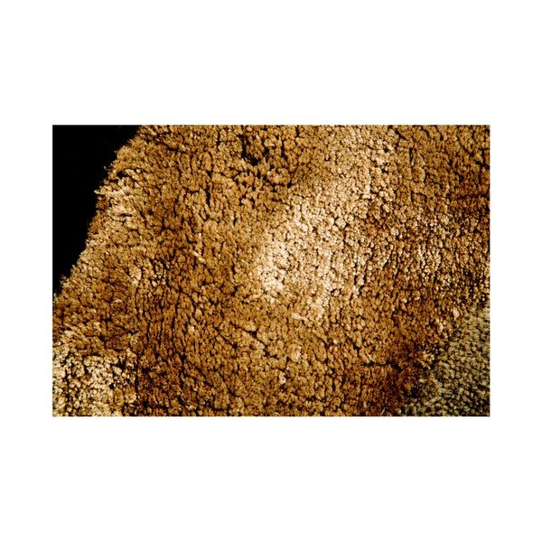 Koberec Flair Rugs Botanical Saria, 90 x 150 cm-image-4