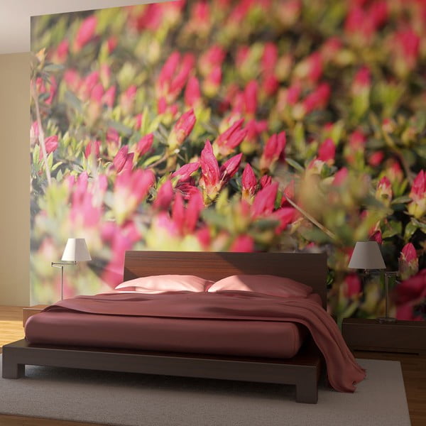 Veľkoformátová tapeta Bimago Budding Roses, 400 × 309 cm