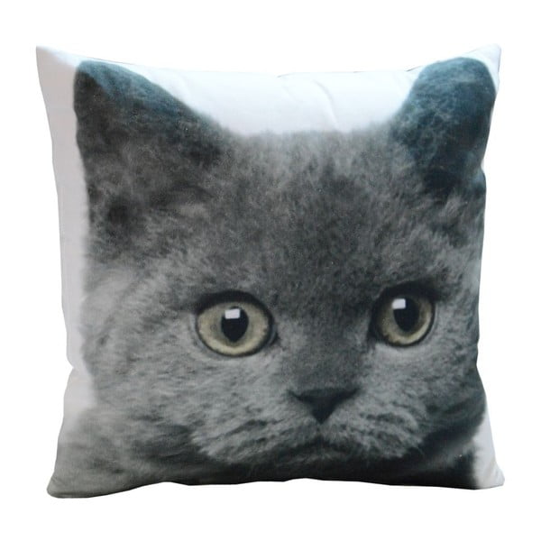Vankúš Grey Cat, 45x45 cm