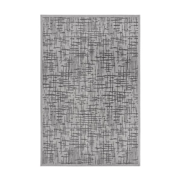 Sivý vonkajší koberec 63x120 cm Clyde Telu – Hanse Home