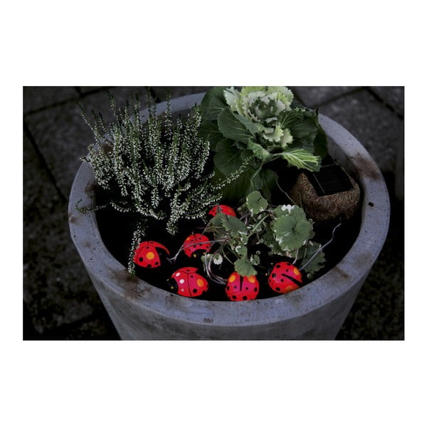 Záhradné svetlo  Solar Energy 6 Light Lady Bugs-image-2