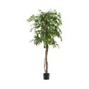 Umelý fikus (výška 180 cm) Ficus – Kave Home