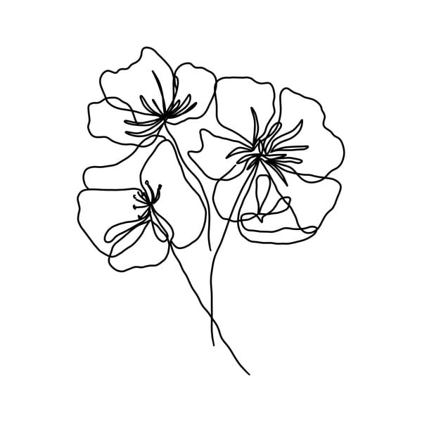 Plagát 29x41.4 cm Květy - Veronika Boulová